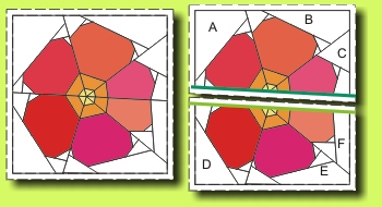 Example Primrose 1