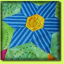 Star Flowers 1