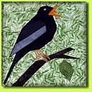 Bird Life 9 (Black Bird)