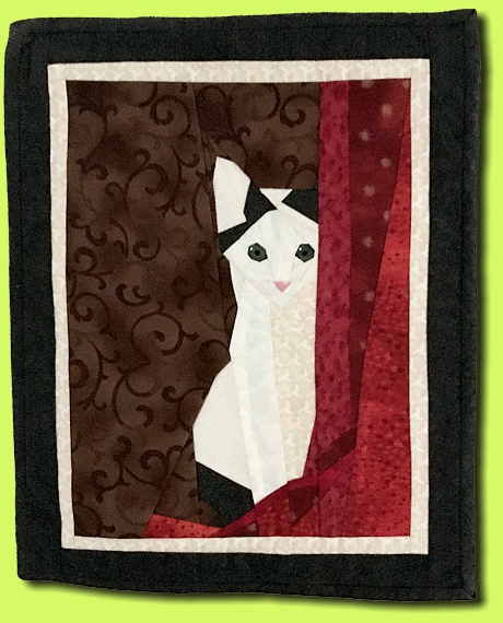 Kleiner Kater Norma St.